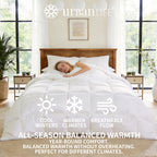 King Down Fiber Comforter